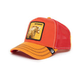 GOORIN BROS HUNDRED ACRE WOOD - BOTHERED DROP EDITION