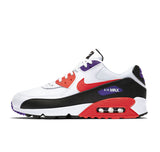 Nike Air Max 90 Raptors