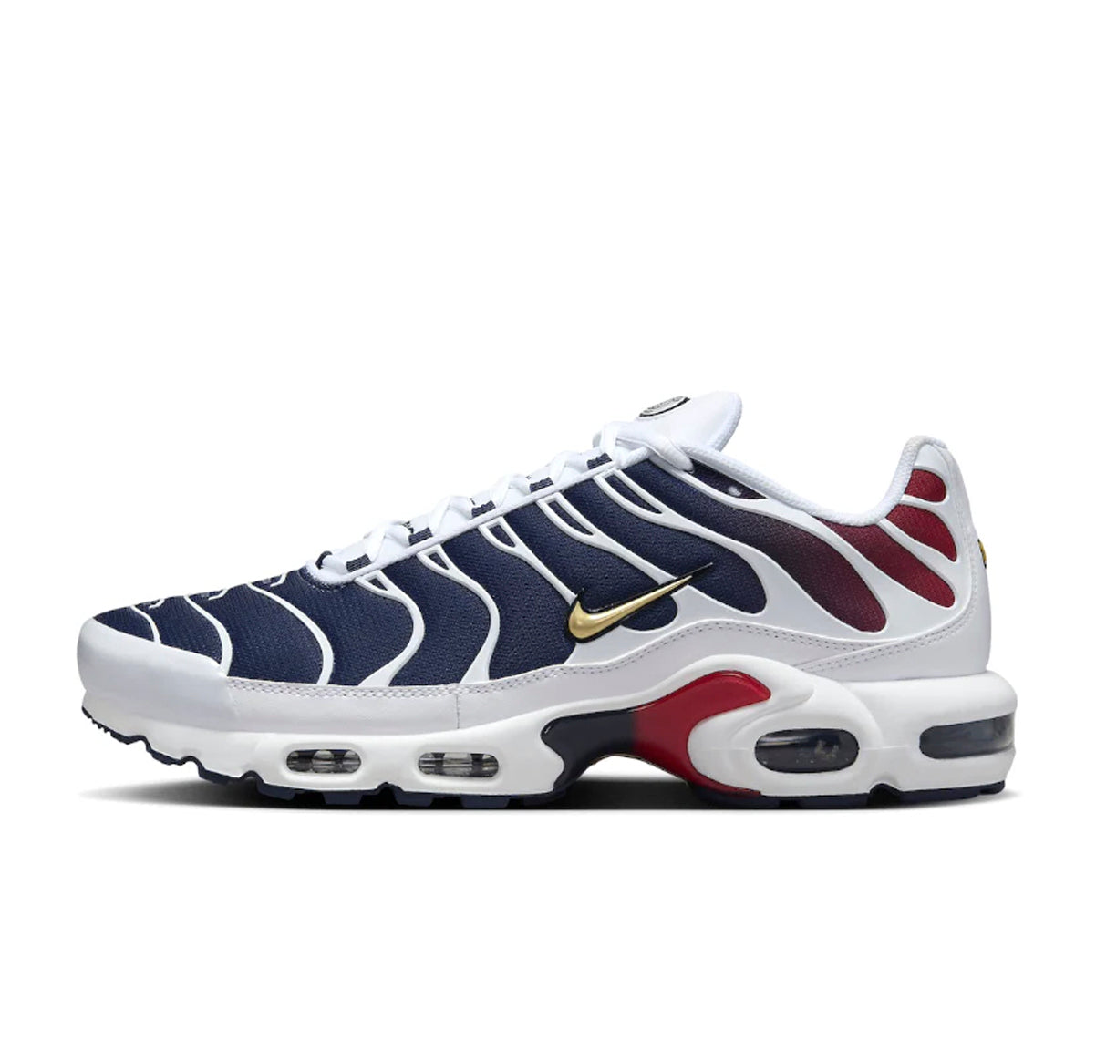 Nike Air Max Plus TN PSG