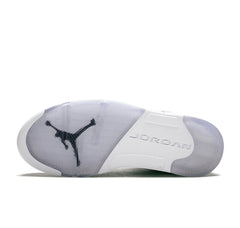 Air Jordan 5 Retro "Wings"