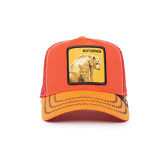 GOORIN BROS HUNDRED ACRE WOOD - BOTHERED DROP EDITION