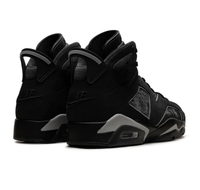 Jordan 6 Retro "Cap and Gown" - foto 3