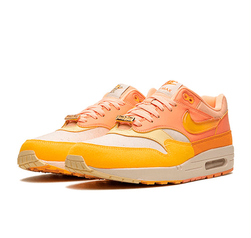 Nike Air Max 1 