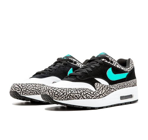 Nike Air Max 1 