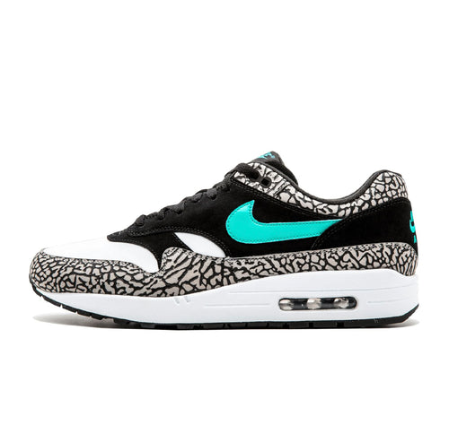 Nike Air Max 1 
