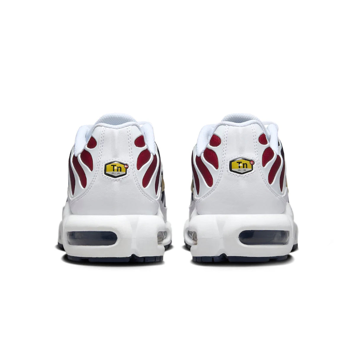 Nike Air Max Plus TN PSG
