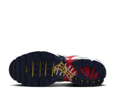 Nike Air Max Plus TN PSG