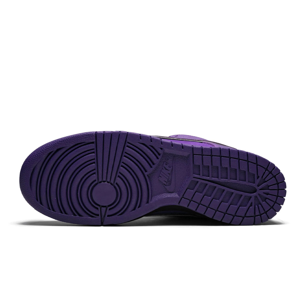 Nike SB Dunk Low "Concepts Purple Lobster"
